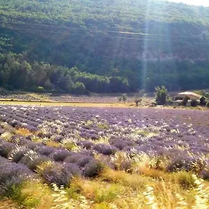 Hébergement de vacances Location Provence Ventoux, Sault